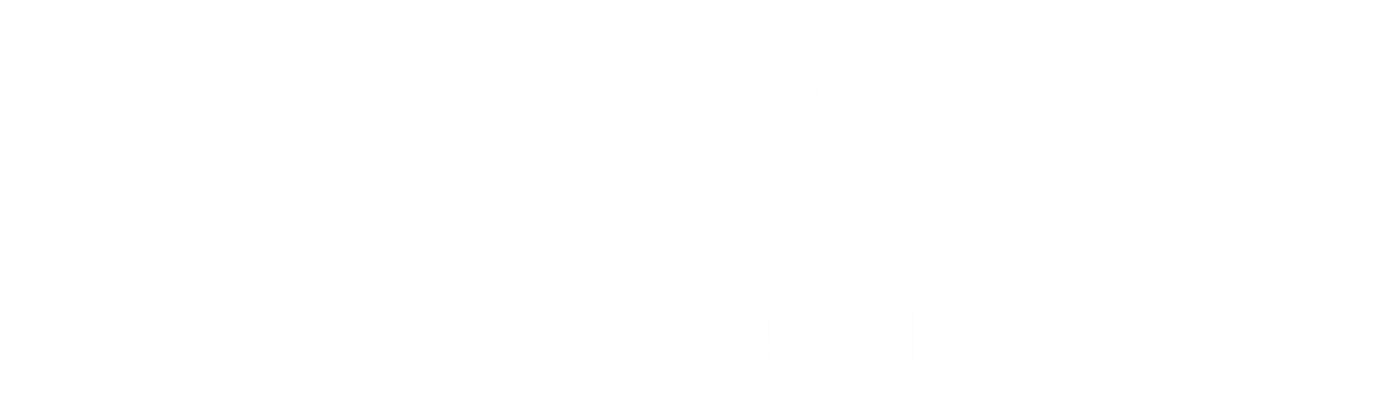 Custom Computer System